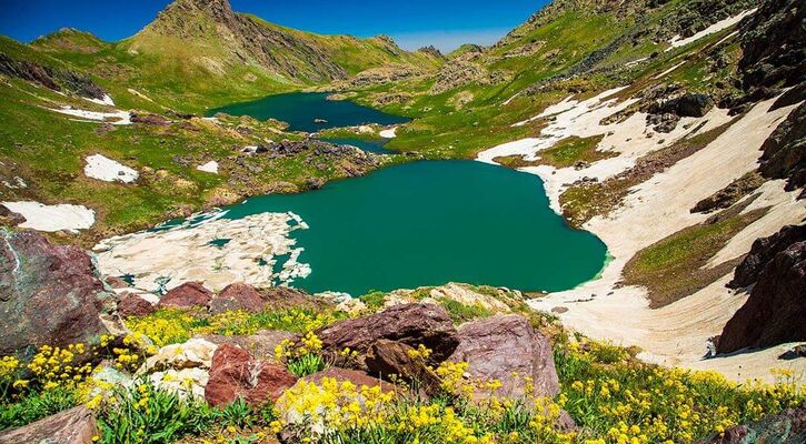 Hakkari Turu